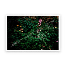 Lade das Bild in den Galerie-Viewer, Postkartenset - Wolfgang Tillmans