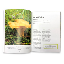 Lade das Bild in den Galerie-Viewer, Pilzglück: vom Suchen und Finden