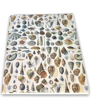 Lade das Bild in den Galerie-Viewer, Natural History - Labels, Stickers & Tapes