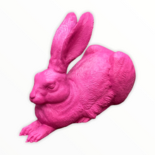 Lade das Bild in den Galerie-Viewer, Dürer-Hase, 2003