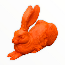 Lade das Bild in den Galerie-Viewer, Dürer-Hase, 2003