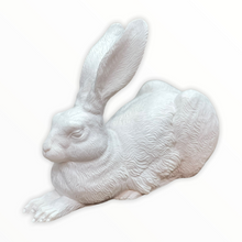 Lade das Bild in den Galerie-Viewer, Dürer-Hase, 2003
