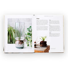 Lade das Bild in den Galerie-Viewer, Grün & Glücklich: Mit Pflanzen dein Zuhause gestalten