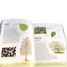 Lade das Bild in den Galerie-Viewer, Bäume am Blatt erkennen