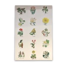 Lade das Bild in den Galerie-Viewer, Flora - Label, Sticker & Tape Book