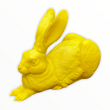Lade das Bild in den Galerie-Viewer, Dürer-Hase, 2003