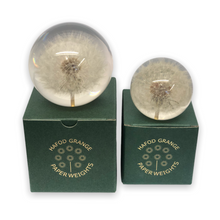 Lade das Bild in den Galerie-Viewer, Hafod Grange Briefbeschwerer Pusteblume