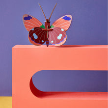 Lade das Bild in den Galerie-Viewer, Delias Butterfly
