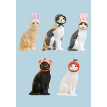 Lade das Bild in den Galerie-Viewer, Cat Cap Figure - Blind Box
