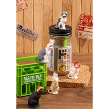 Lade das Bild in den Galerie-Viewer, Cat Cap Figure - Blind Box
