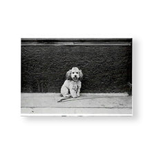 Lade das Bild in den Galerie-Viewer, Postkartenset - Aglaia Risch: Postkartenserie mit 40 Motiven
