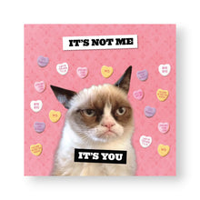 Lade das Bild in den Galerie-Viewer, Grumpy Cat - Wall Calendar 2027
