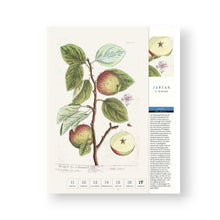 Lade das Bild in den Galerie-Viewer, Thorbeckes heimisches Obst Kalender 2027

