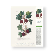 Lade das Bild in den Galerie-Viewer, Thorbeckes heimisches Obst Kalender 2027
