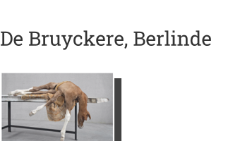 Postkarte von De Bruyckere, Berlinde: Lost V, 2021-2022, 2021-2022