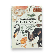 Lade das Bild in den Galerie-Viewer, Animalium Postcards: Welcome To The Museum
