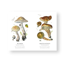 Lade das Bild in den Galerie-Viewer, Mushrooms - Memory Game
