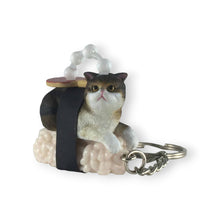 Lade das Bild in den Galerie-Viewer, Sushi Cat Keyring Nekozushi - Blind Box (Version 2)
