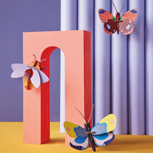 Lade das Bild in den Galerie-Viewer, Delias Butterfly
