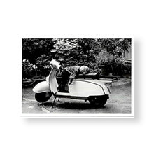 Lade das Bild in den Galerie-Viewer, Postkartenset - Aglaia Risch: Postkartenserie mit 40 Motiven
