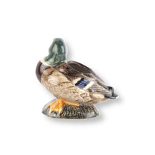 Lade das Bild in den Galerie-Viewer, Mallard - Bud Vase
