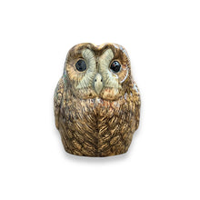Lade das Bild in den Galerie-Viewer, Tawny Owl Jug
