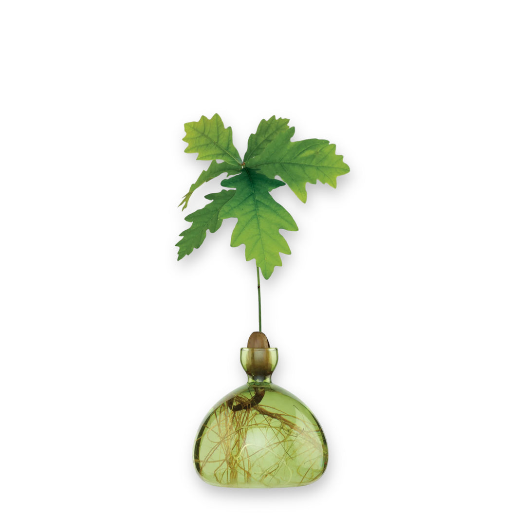 Acorn Vase Grass Green