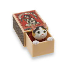 Lade das Bild in den Galerie-Viewer, Cat Peek Matchbox - Blind Box
