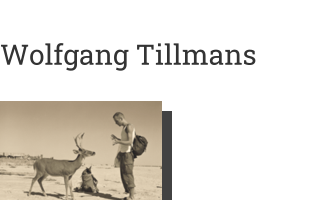 Postkarte von Wolfgang Tillmans: Deer Hirsch, 1995