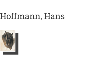 Postkarte von Hoffmann, Hans: Ein liegender Hase, von vorn gesehen, um 1580-1584