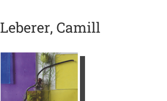 Postkarte von Leberer, Camill : O.T., 2022