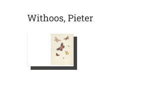 Postkarte von Withoos, Pieter: Schmetterling und Wespen, 1680