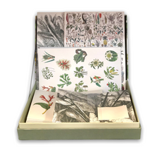 Lade das Bild in den Galerie-Viewer, Letter Writing Set - Botanical
