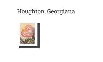 Postkarte von Houghton, Georgiana: The Flower of Helen Butler